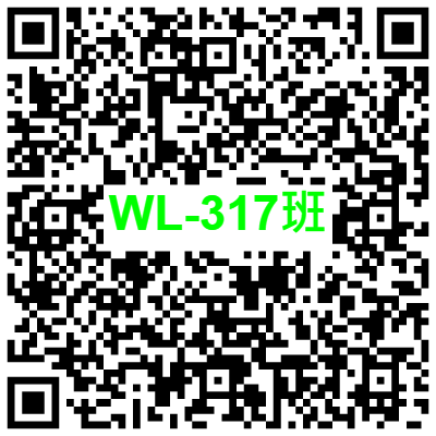 WL-317