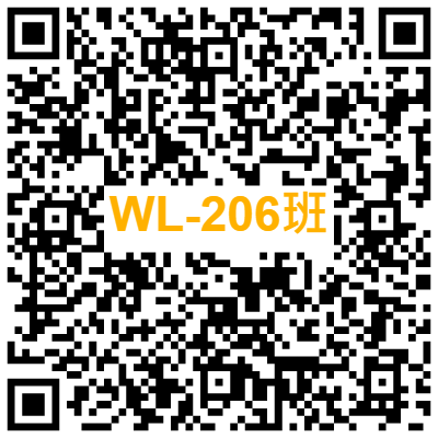 WL-206