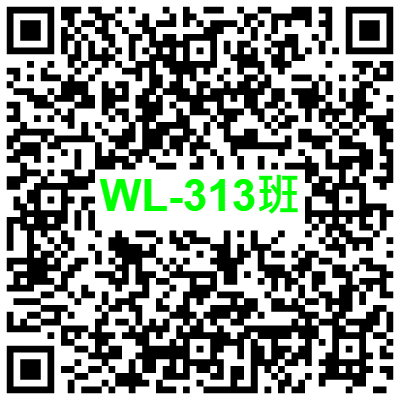 WL-313
