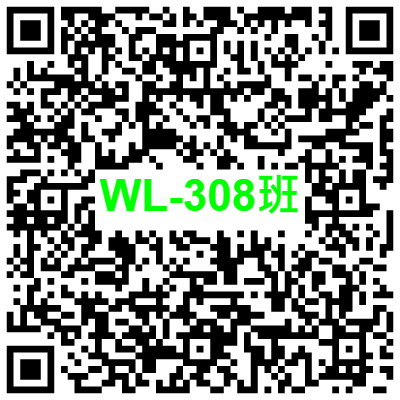 WL-308