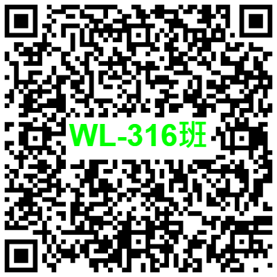 WL-316