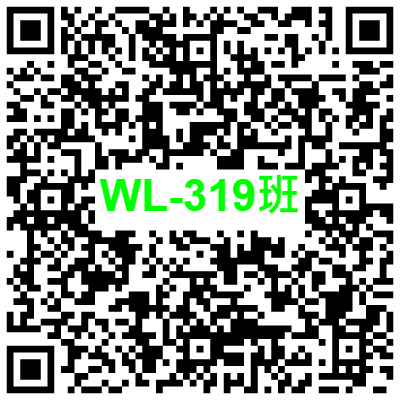 WL-319
