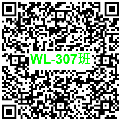 WL-307