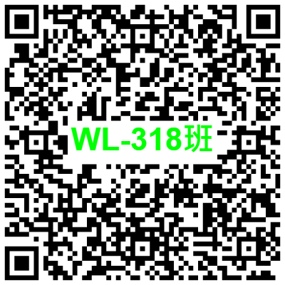 WL-318