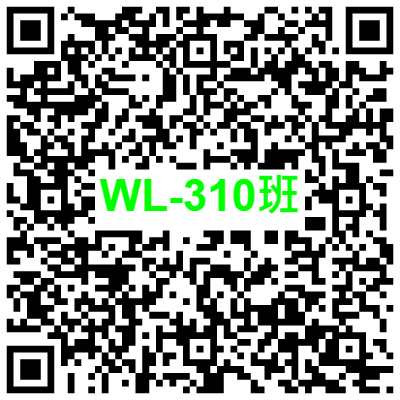 WL-310