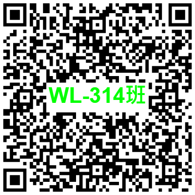 WL-314