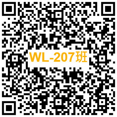 WL-207