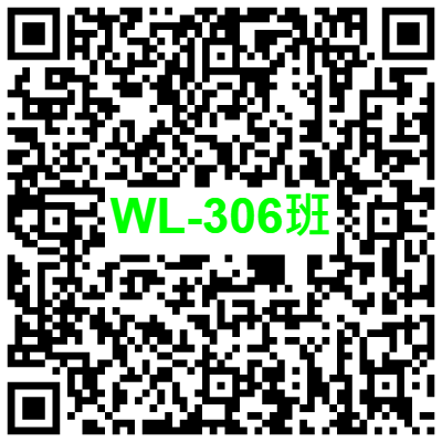 WL-306